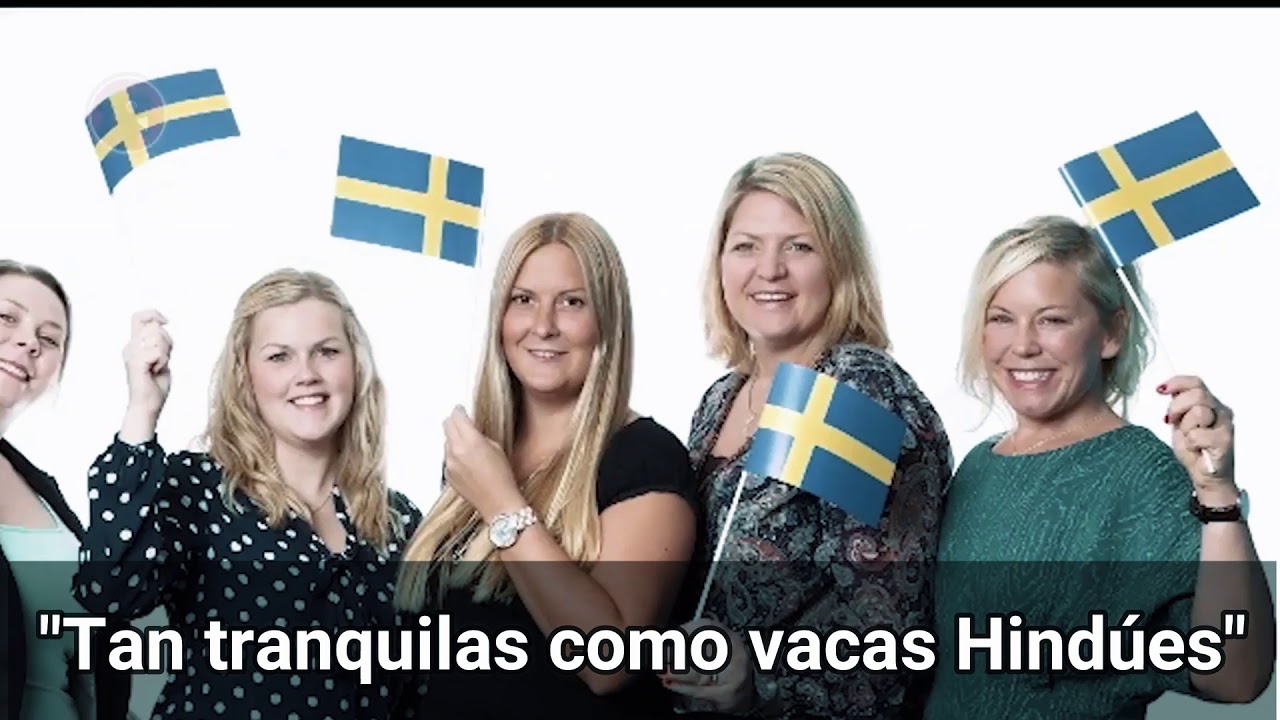 Шведский язык похож. Швеция люди. Шведы общение. Швеция общение. Шведский менеджер.