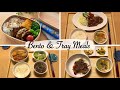 2 bento and 4 tray meal style dinners | cooking collection