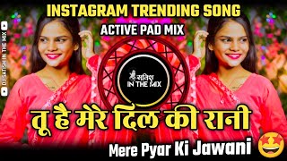 Tu Hai Mere Dil Ki Rani Mere Pyar Ki Jawani - Instagram Trending | Old Song | Dj Satish In The Mix