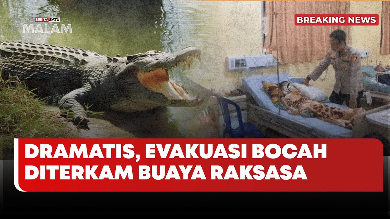 🔴 LIVE | Dramatis, Evakuasi Bocah Diterkam Buaya Raksasa - Beritasatu Malam