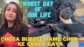 Chota Bubzee Hame Chor Ke Chala Gaya: Worst Day Of Our Life | Rottweiler Puppy Ka Dum Ghut Gaya