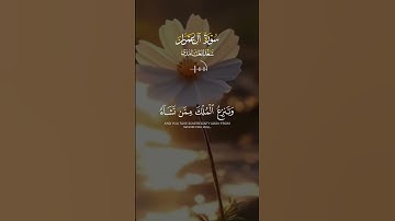 آيات من سورة آل عمران #القران_الكريم #اكسبلور