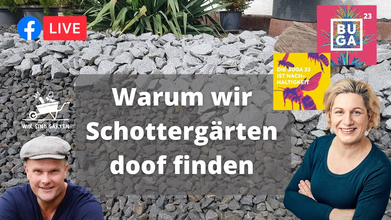 Warum wir Schottergärten doof finden!