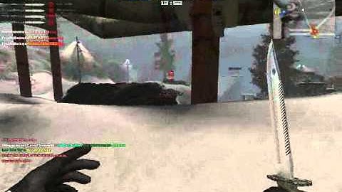 Combat Arms Hacks: FC (Forbidden Cheats)Loader, (Working June 2011)