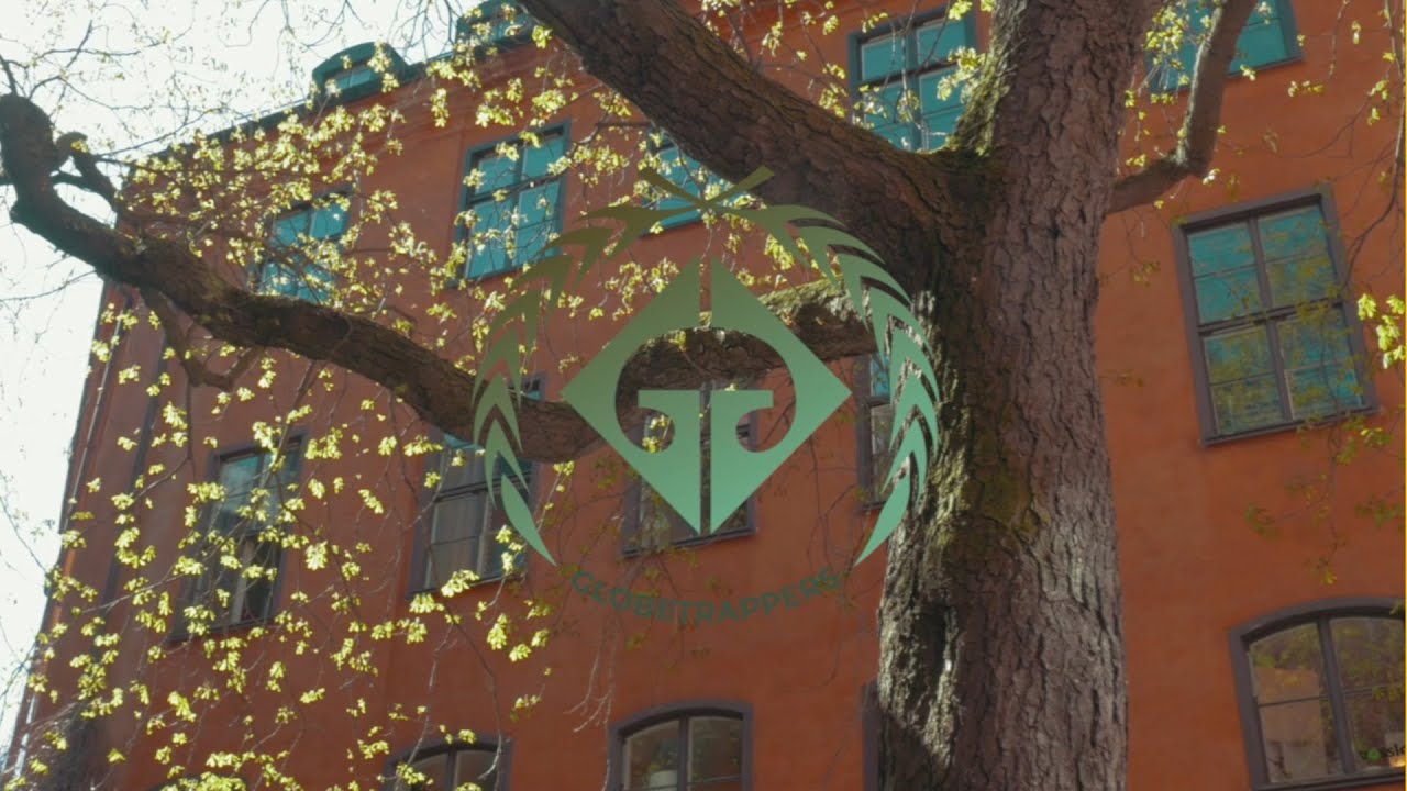 TreGor - Agree2disagree feat. Cha Cha prod. IGŁA (Egor x Tre-buh)