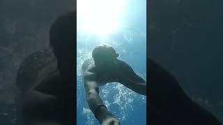 Uncovering the Untold Secrets of Australia!