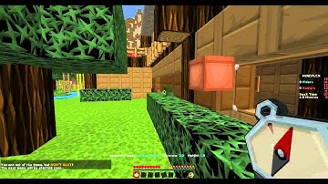 Hacker Report Mineplex "Mineraider01"