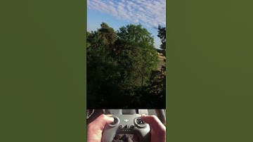 HIGH in the #trees huma20 #flow #FPV #fpvdrones #FPVLife #FreestyleFPV #MonkeymindFPV #dronevideo