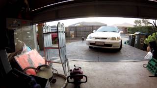 My Staffy Rebble And L Playing Fetch The Ball.