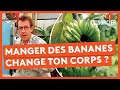 Pourquoi Manger Des Bananes Change Ton Corps C Est Pas Sorcier