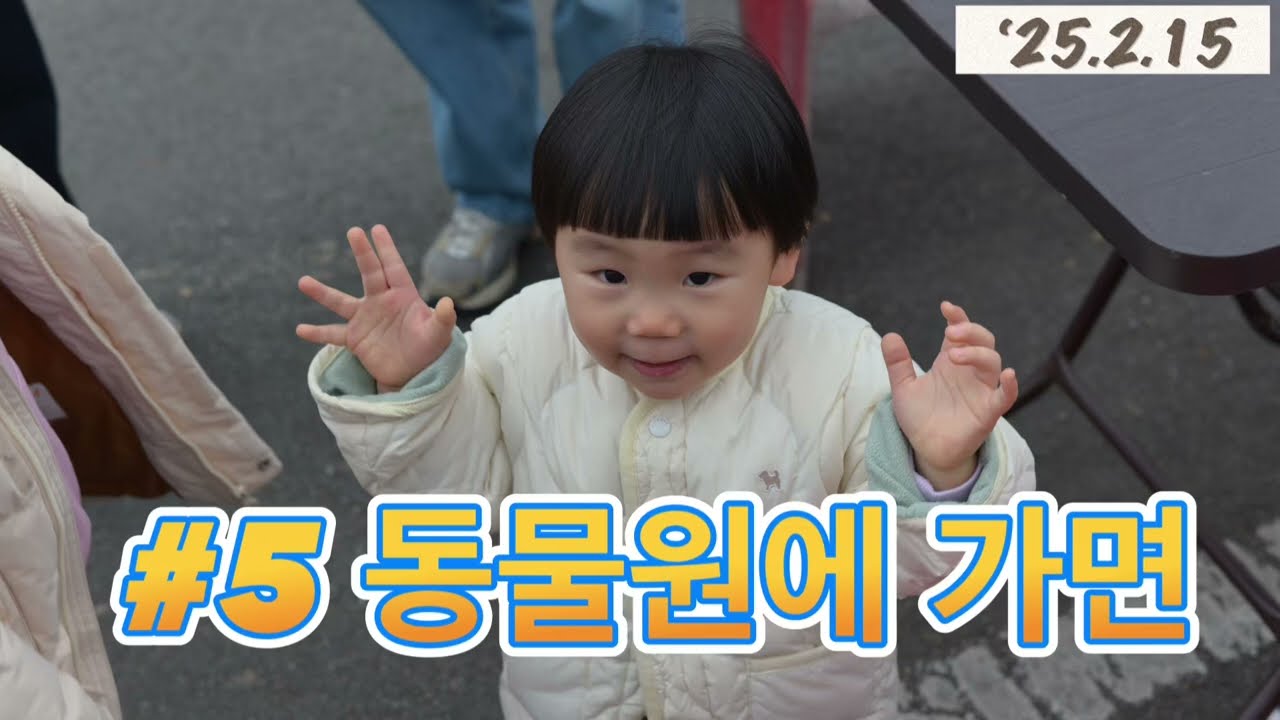 #5 동물원에 가면