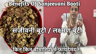 संजीवनी बूटी / लक्ष्मणा बूटी किन किन बीमारियों में फायदेमंद ! Benefits Of Sanjeevani Booti