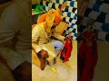 Jodhpuri safa sherwani house khoortrending rajasthani viral banna rajputanaattitude