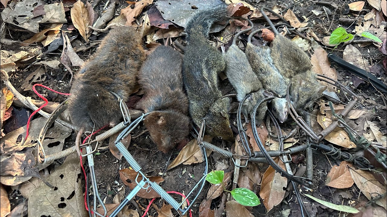 Karen hunting YouTube