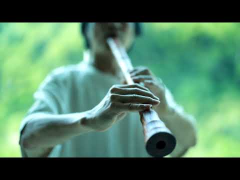 山茶花（冬戀）-印度小葉紫檀F調簫 #多重聲波濃淡簫韻 #傳心之器 #文化傳承