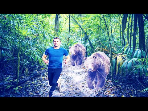 ভালুকের আক্রমণ থেকে কীভাবে বাঁচবেন ? How to Survive a Bear Attack