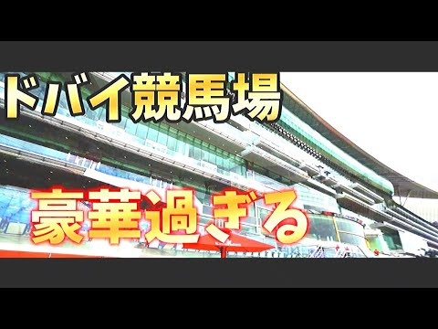 【ドバイ競馬場】メイダンの場内を案内します