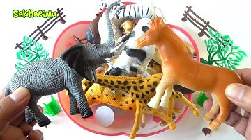 BELAJAR NAMA DAN SUARA HEWAN GAJAH KUDA | Learn Animals Name and Sound