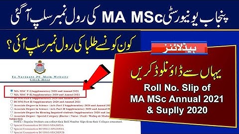 MA MSc roll number slips of annual exams of 2023 or supply exams are uploaded on PU website.