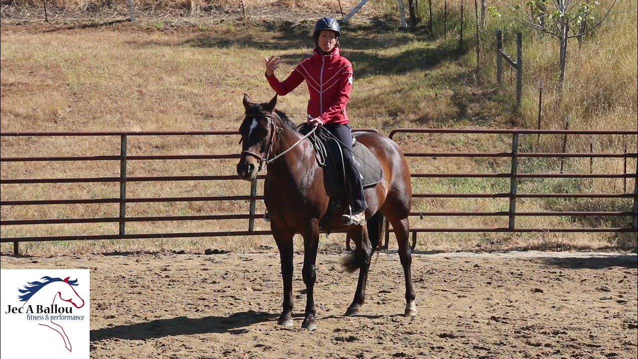 Horse Exercise Intervals YouTube