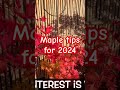 Winter Gardening Tips for 2024 #japanesemaple #plants #japanesetree #gardening #maple #garden #tree