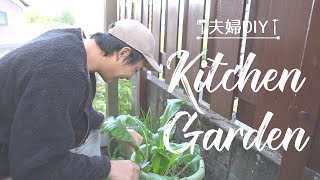 プランター菜園 収穫してみたら・・・【Garden#3】