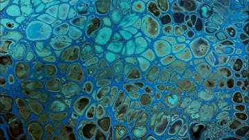 Acrylic Pour Basic Swipe Technique