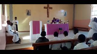 St. Patricks Seminary