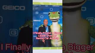 😂This Is How Big The Geico Gecko Gets When You Don't Switch🥱#gecko