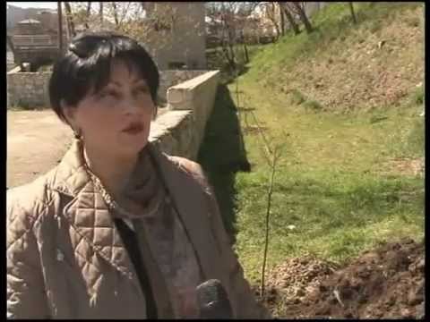 გამწვანების აქცია „თელავი ჩემი ქალაქია“-ს ინიციატივით