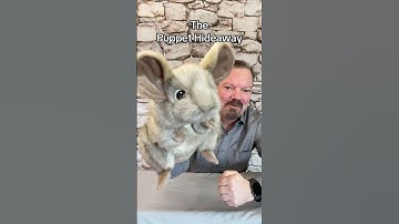 Puppet of the Day – Mouse made by Folkmanis Puppets – The Puppet Hideaway with Eric Thomsen