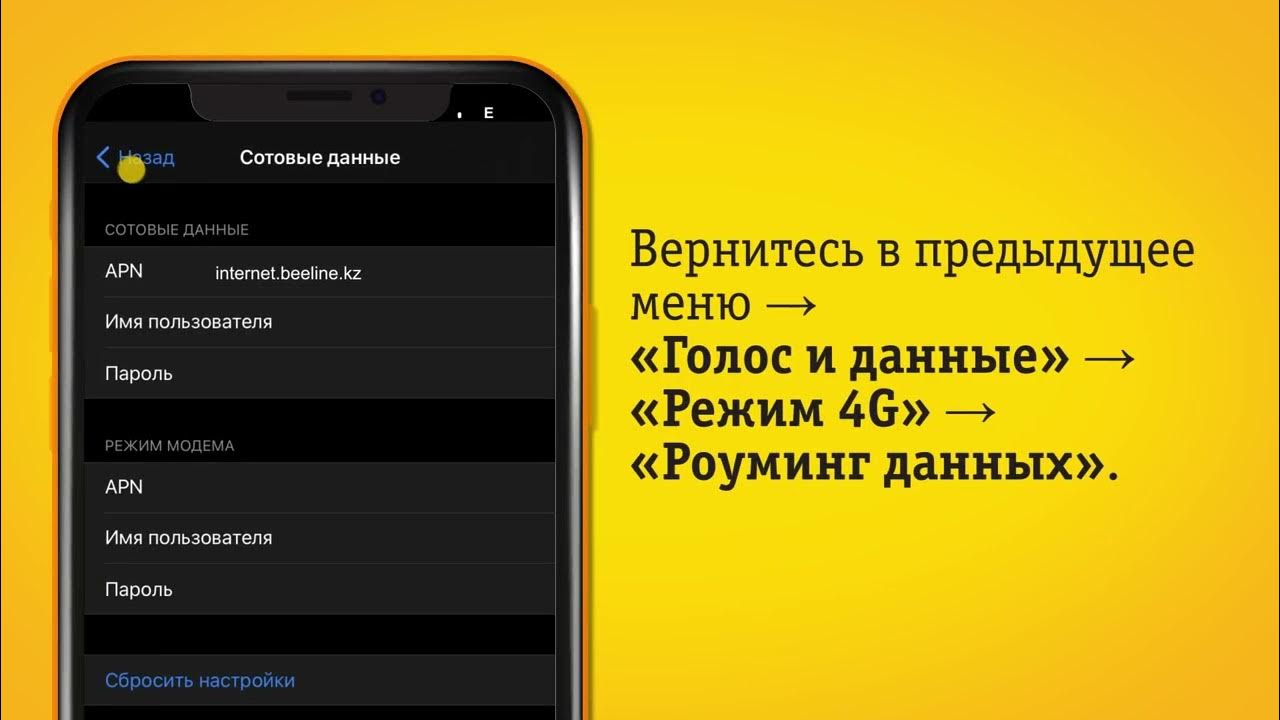 Apn и имя пользователя для билайн. Apn и имя пользователя для билайн. Сотовые данные билайн пароль. Настройка usb модема. Apn и имя пользователя для билайн.