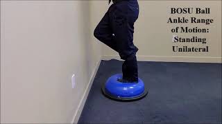 BOSU Ball Standing Unilateral Ankle Range of Motion