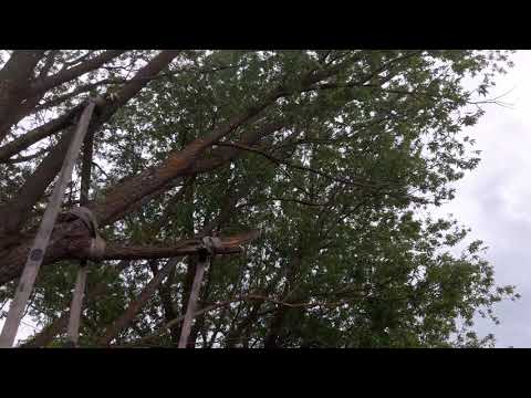 Тарзанка и качели