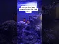 #fish #cats #clownfish #aquarium #marinefish