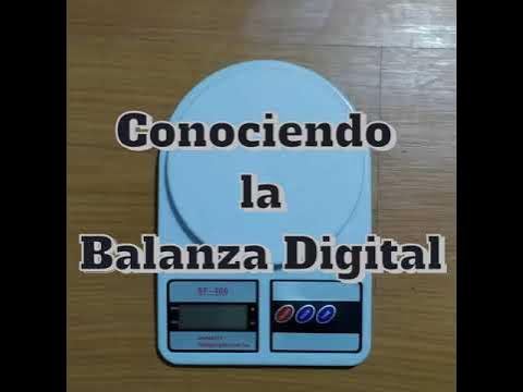 Balanza Gramera Báscula Cocina Digital Capacidad Max 10kg Para