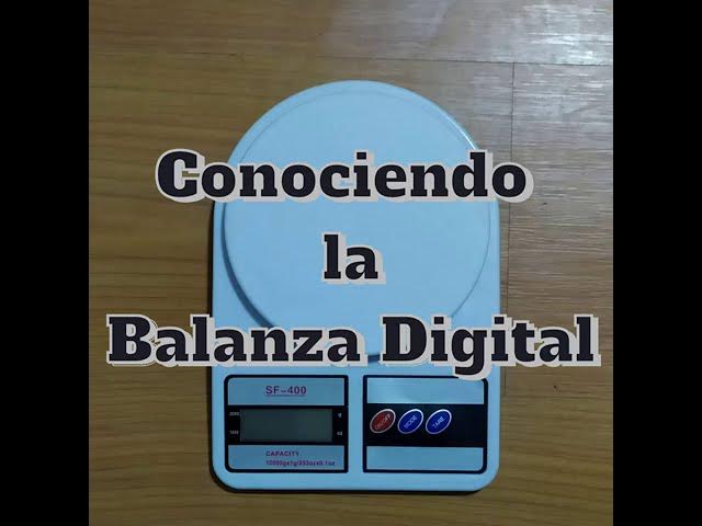 BALANZA DE COCINA DAEWOO — El Clon