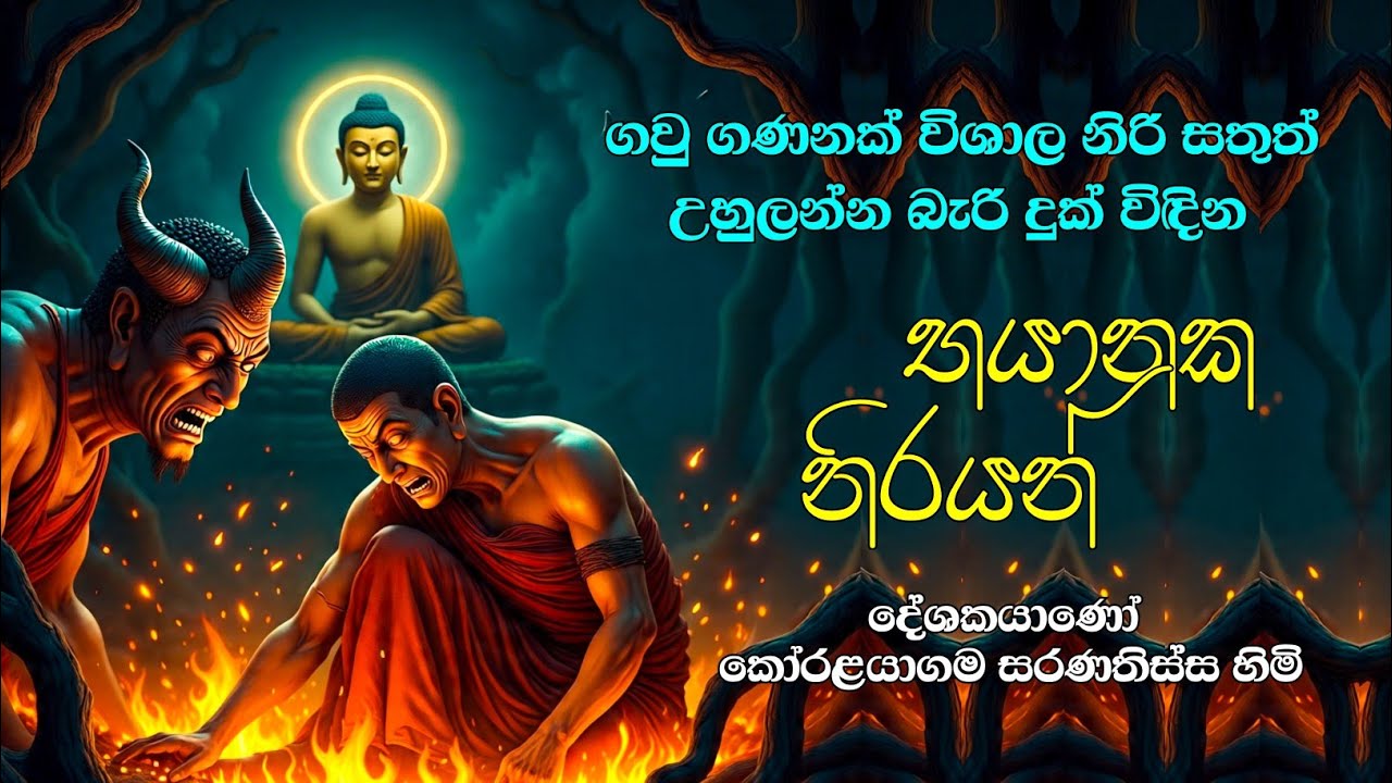 නිමක් නැති දුකක් විඳින | අසරණ නිරි සතුන් 🥺 | Bana 19 Feb 2026 
