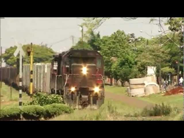 Pista de Trem - Locomotiva de Carga - Train Express - 140cm -  superlegalbrinquedos