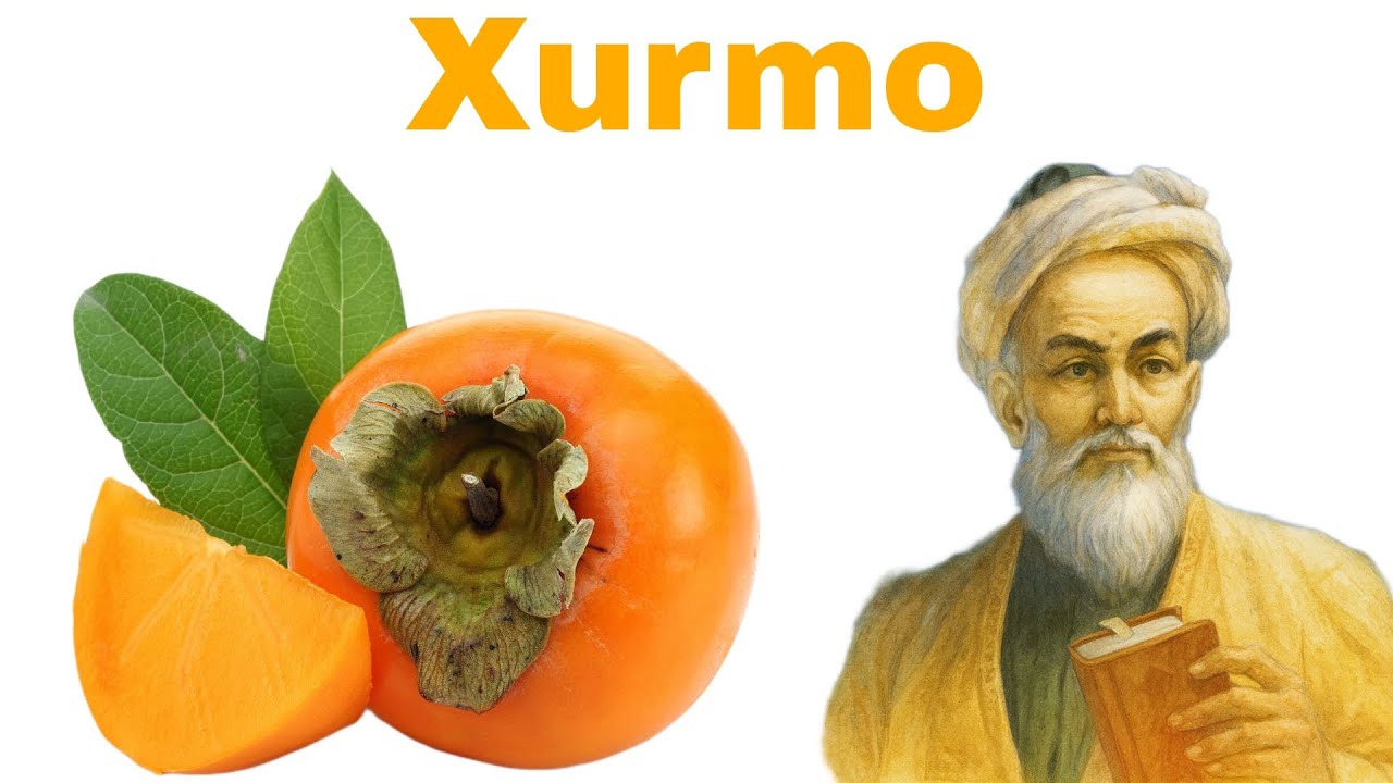 Kunnilingusning qanday foydalari bor?