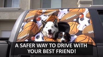 Peekapet Car Window Screen