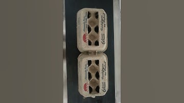 6-head multi-color PIJ printer for egg tray, EasyJet E556 inline printer, Xaar 128 print engine.