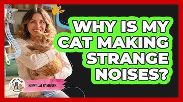 Why Is My Cat Making Strange Noises?