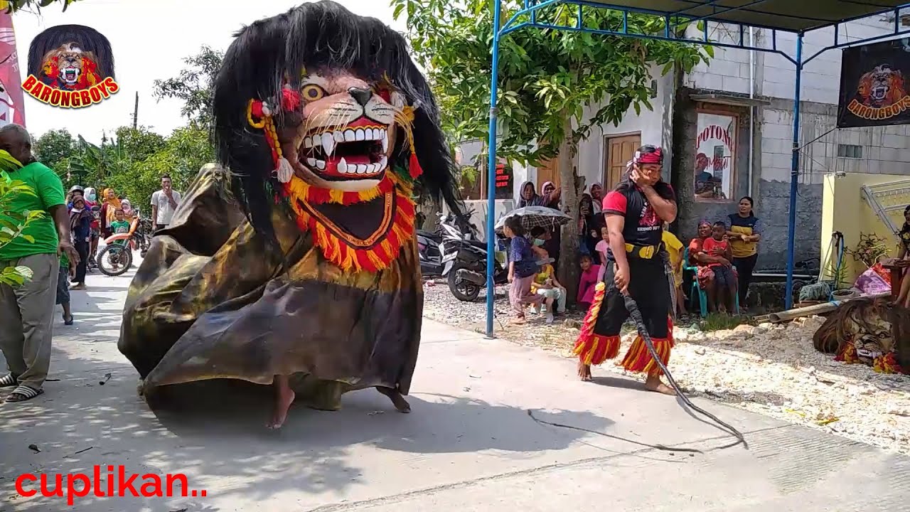 Atraksi Barongan Galak Banget Ngamuk | barongan krido budoyo live anggaswangi