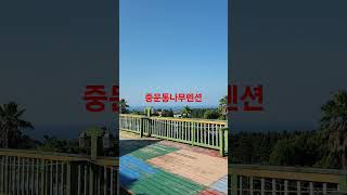 제주 중문통나무펜션&리조트