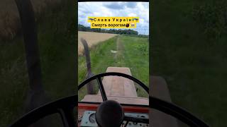 #втопи #вреки #втренди #рекомендації #рек #т25 #село #2025 #shortsvideo #shortvideo