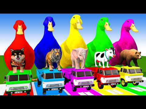 Long Slide Game With Cow Elephant Gorilla Hippopotamus Tiger 3d Animal Game Funny 3d Animals