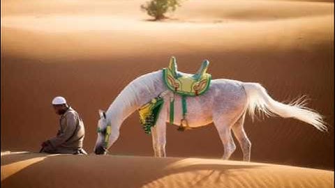 مقتطفات قديمة من أروع تلاوات الشيخ عنتر مسلم رحمه الله