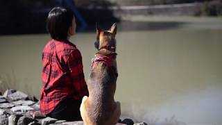 Why I Chose Hanno City In Saitama