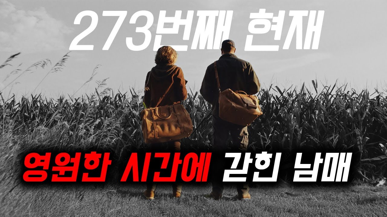 반전에 반전...드디어 인생 타임 루프 영화 찾았습니다. [영화 스토리텔링]